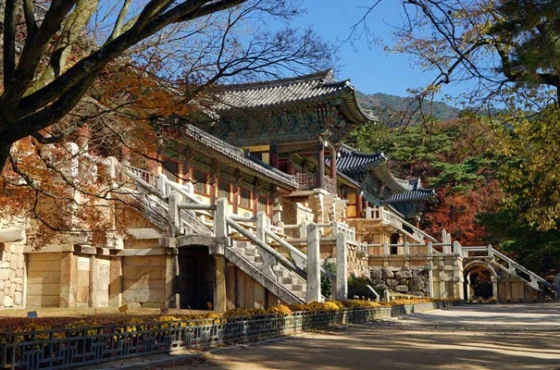 Explore Gyeongju City – The place that preserves the essence of Korea’s Silla Dynasty