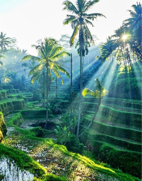 Indonesia