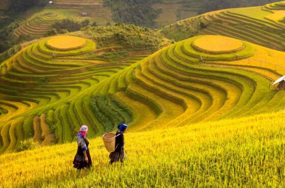 Vietnam Luxe: 14 Days of Elegance, Heritage & Hidden Wonders