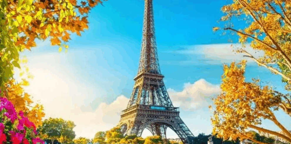 Untitled design (14)