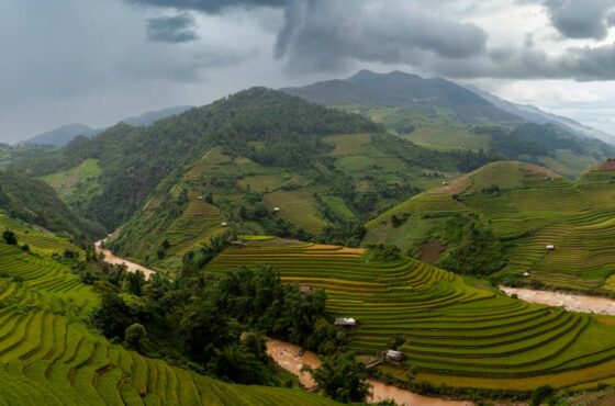 Vietnam Voyage: 10 Days of Heritage & Landscapes